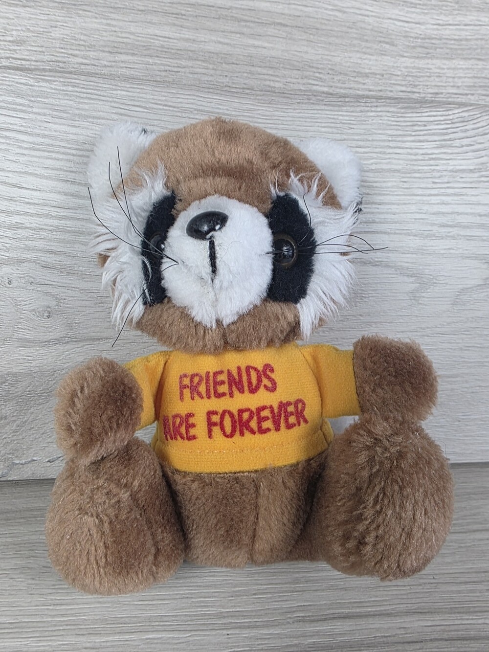Russ Berrie Plush Raccoon K-10 Item No. 607 w 'Friends Are Forever' Shirt SU55